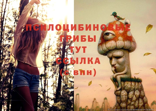 прущая мука Осинники